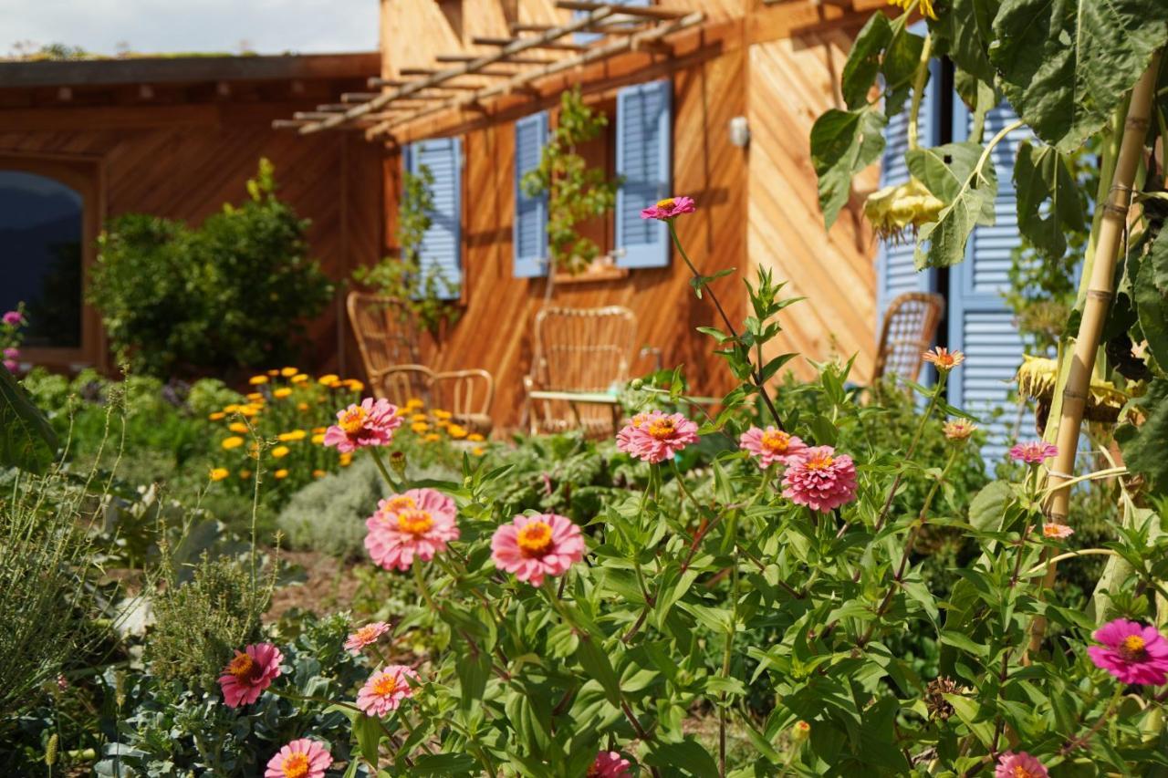 Marciaga Casa Viva Bed & Breakfast エクステリア 写真